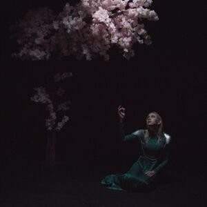 Daedric - As The Light Left  CD